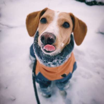 Theos  Fotochallenge Nummer 2-Beitrag-Bild