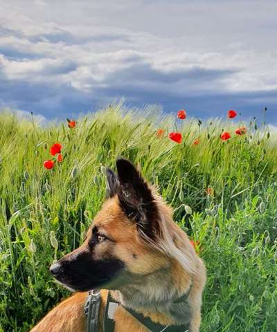 Theos  Fotochallenge Nummer 2-Beitrag-Bild