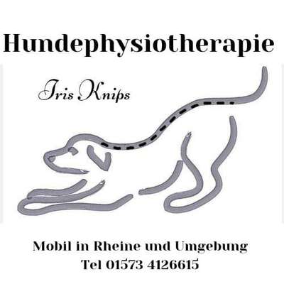 Medizinische Dienstleistungen-Hundephysiotherapie Iris Knips-Bild