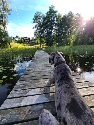 Fotochallenge Nr.100 Urlaubsimpressionen-Beitrag-Bild