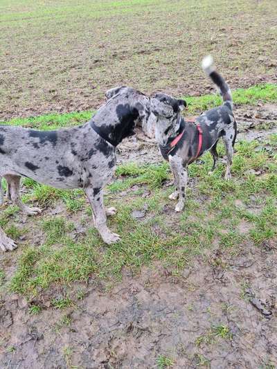 Fotochallenge 88-Beitrag-Bild