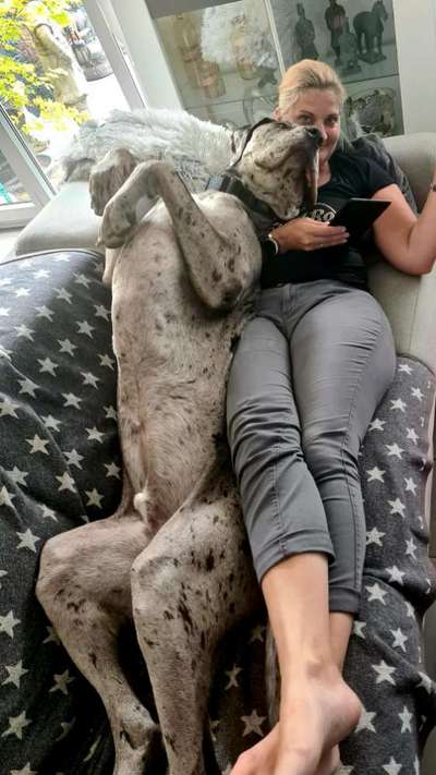 Fotochallenge Nr.89 - Charakter und Wesen-Beitrag-Bild