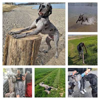 22. Collagen Challenge- Lebensfreude-Beitrag-Bild