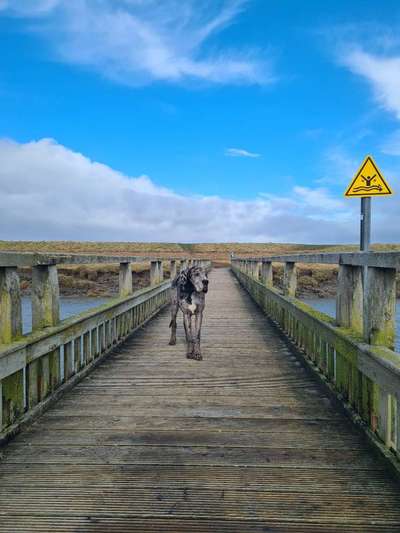 Fotowettbewerb Natur-Beitrag-Bild