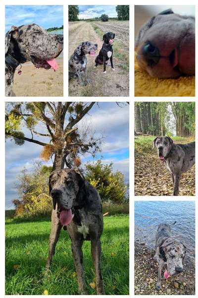 18. Collagen Challenge - Zunge raus!-Beitrag-Bild