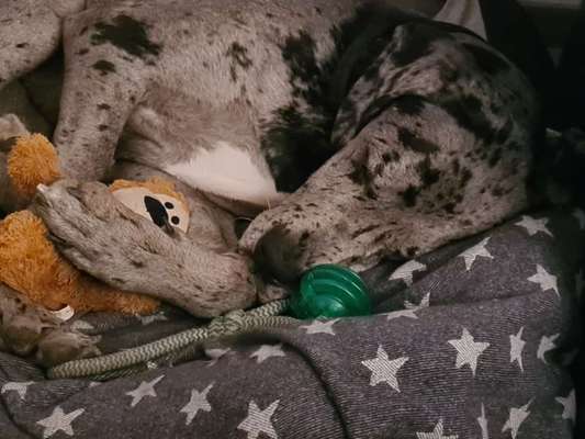 Foto Challange Nr.80-Beitrag-Bild