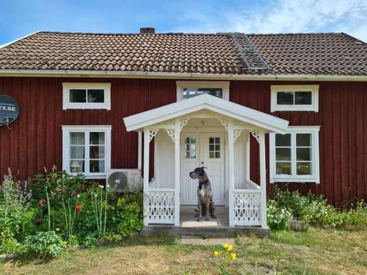 Dogorama Photo Challenge - Schattiges Plätzchen-Beitrag-Bild