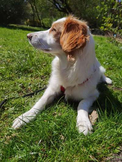 Farben Fotochallenge Sonnenlicht-Beitrag-Bild