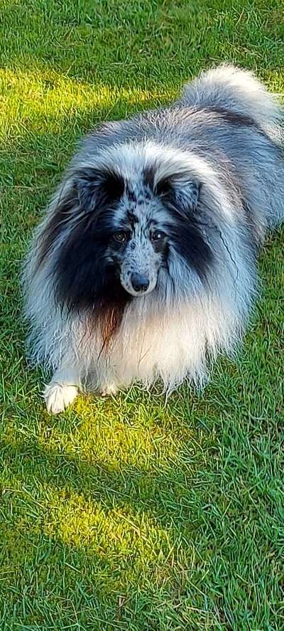 Fotochallenge Nr. 67: Euer Lieblingsbild-Beitrag-Bild