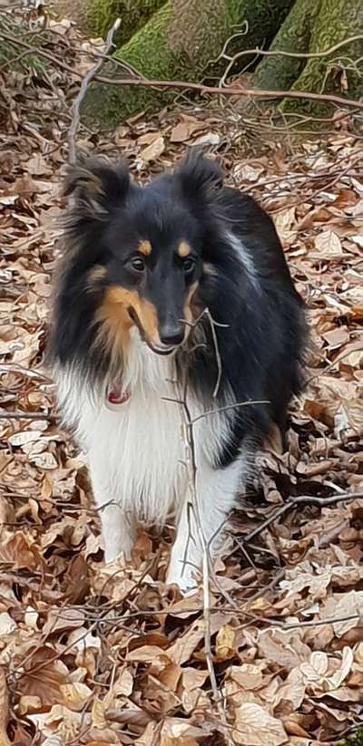 Lieblings Fotos-Beitrag-Bild