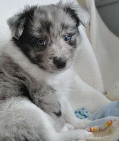 Lieblingsbild-Beitrag-Bild