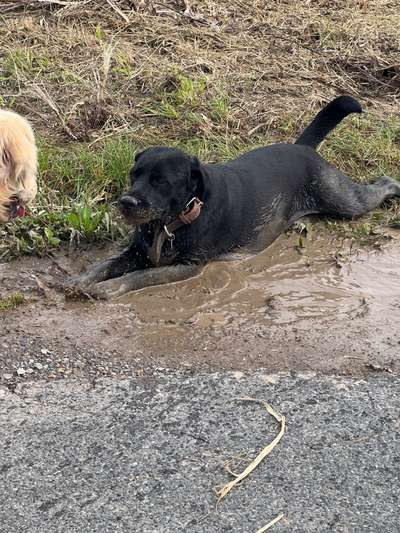 Herbst Bilder-Beitrag-Bild