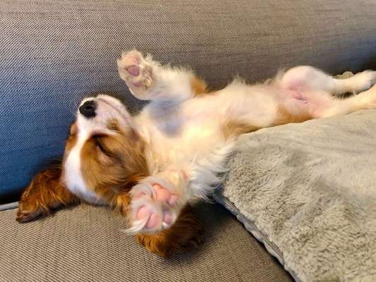 Die unbequemsten und lustigsten Schlafpositionen-Beitrag-Bild