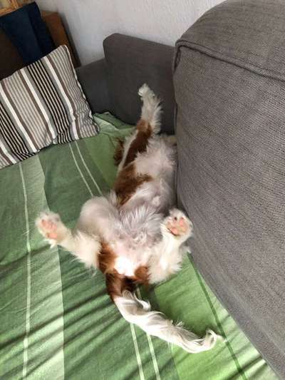 Die unbequemsten und lustigsten Schlafpositionen-Beitrag-Bild