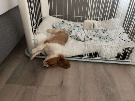 Die unbequemsten und lustigsten Schlafpositionen-Beitrag-Bild