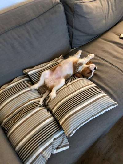 Die unbequemsten und lustigsten Schlafpositionen-Beitrag-Bild