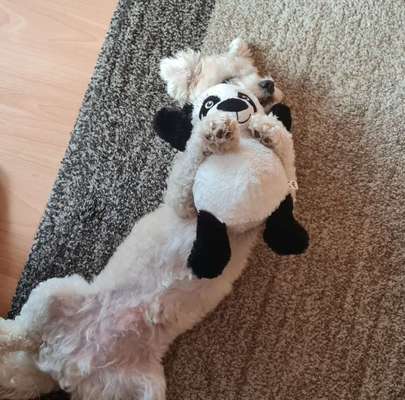 Foto Challange Nr.80-Beitrag-Bild