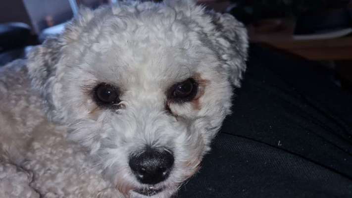 Fotochallange Nr. 57     PORTRÄT.   Beendet!!!!!!!!-Beitrag-Bild