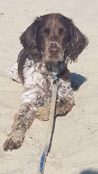 Foto Challenge Nr.133-Beitrag-Bild