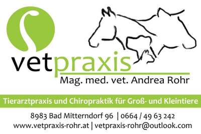 Tierärzte-Vetpraxis Mag. med.vet. Andrea Rohr-Bild