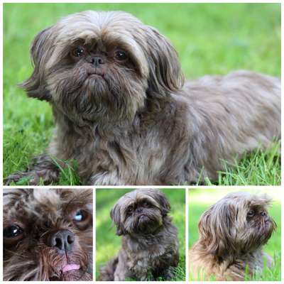 53. Collage Challenge - Verschiedene Blickwinkel-Beitrag-Bild