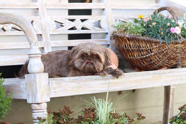 28. Farben Foto Challenge * BEIGE *-Beitrag-Bild