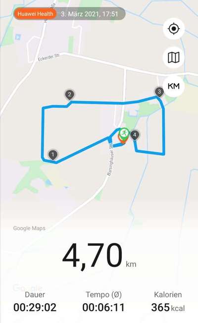 Podencomischling oder Podenco-Beitrag-Bild