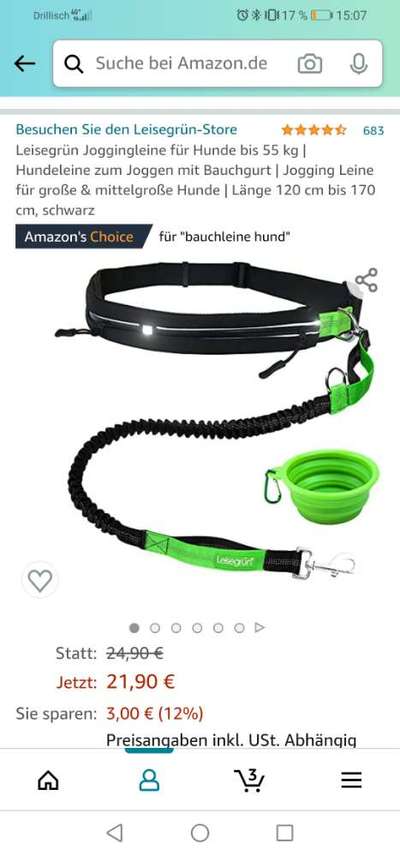 Joggen mit Hund-Beitrag-Bild