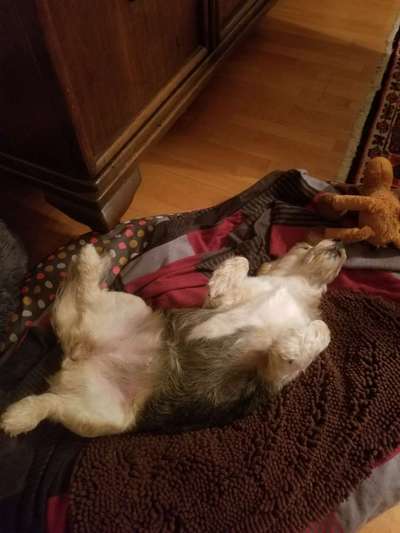 Die unbequemsten und lustigsten Schlafpositionen-Beitrag-Bild