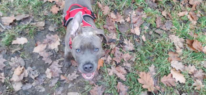 Lieblingsbild-Beitrag-Bild