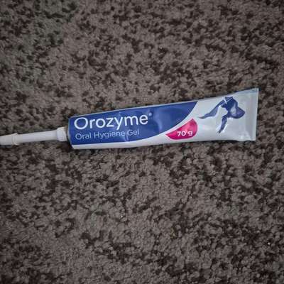 Zahnpflege-Beitrag-Bild