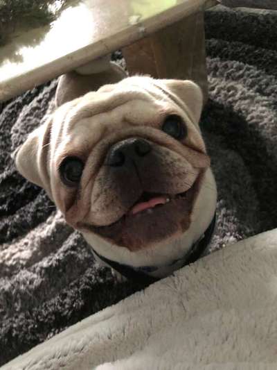 Immer lächeln !-Beitrag-Bild