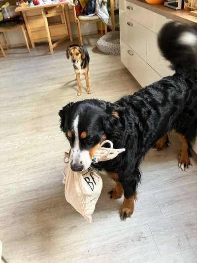 19. Handy - Foto - Challenge-Beitrag-Bild