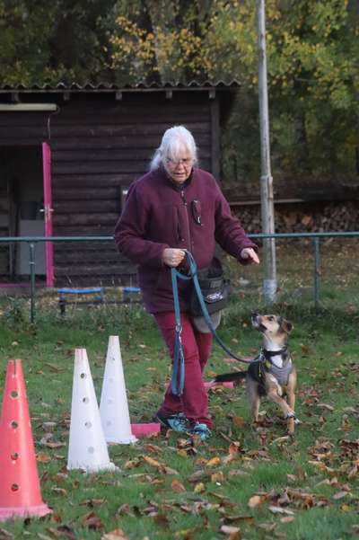 24. Handy-Foto-Challenge-Beitrag-Bild