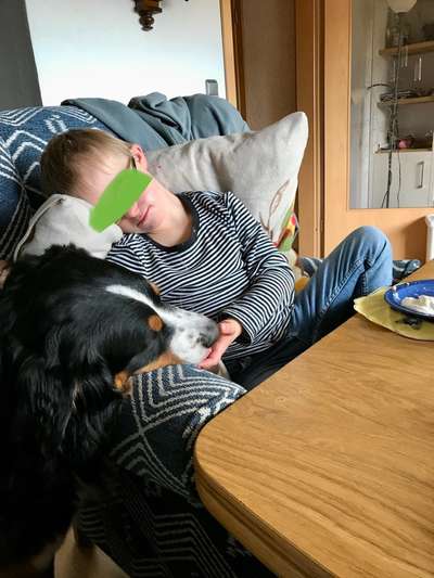 24. Handy-Foto-Challenge-Beitrag-Bild