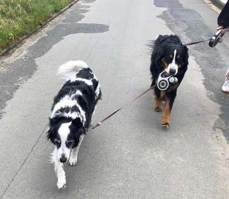 Handy-Foto-Challange Nr. 8-Beitrag-Bild