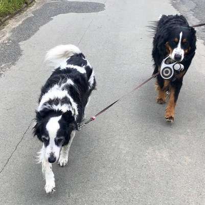 Handy-Foto-Challange Nr. 8-Beitrag-Bild