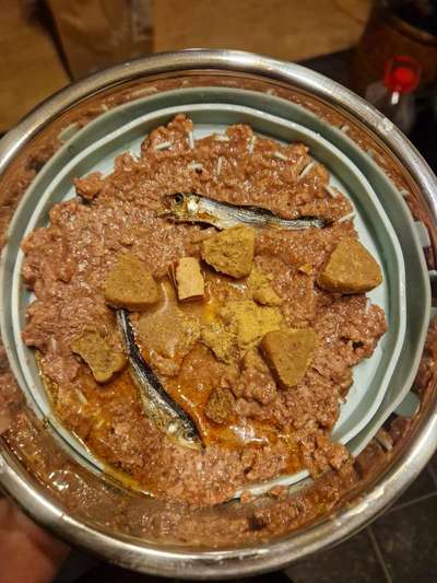 Zeigt her Eure Futternäpfe-Beitrag-Bild