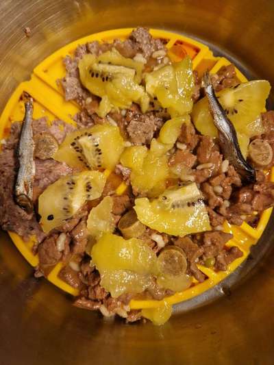 Zeigt her Eure Futternäpfe-Beitrag-Bild