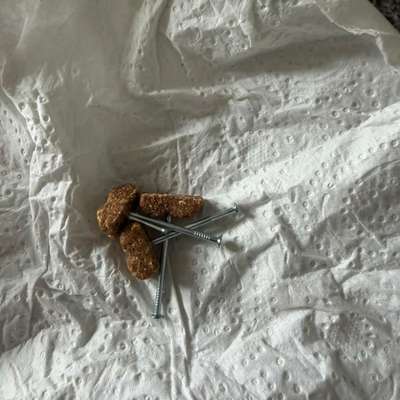 Giftköder-Guddis mit Nägeln-Bild