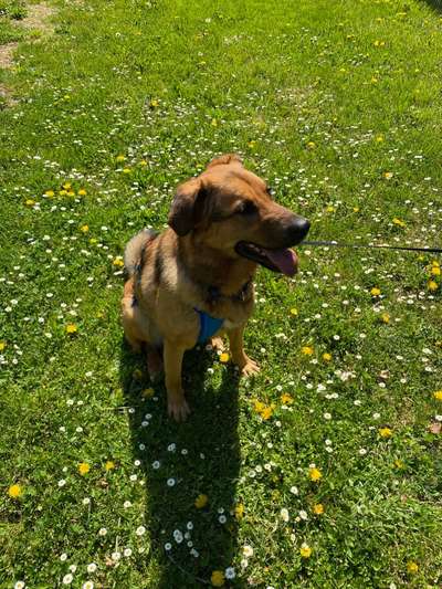 Fotowettbewerb Natur-Beitrag-Bild