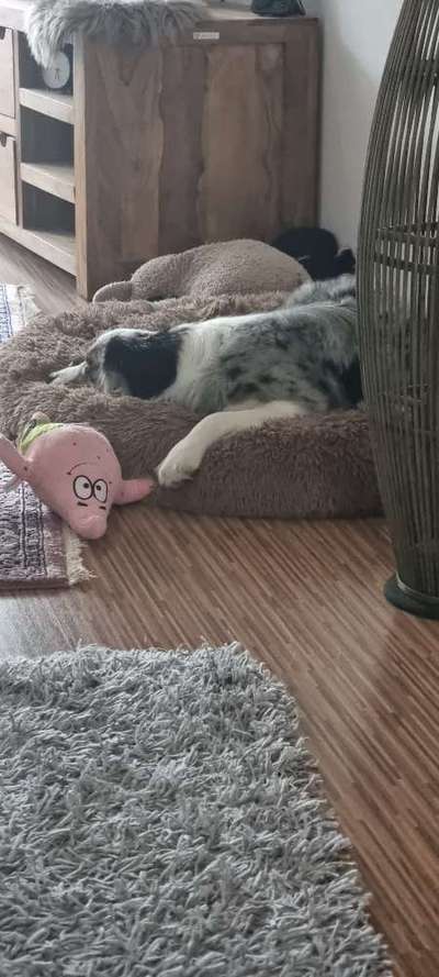 Erfahrung mit Wolkenbett-Beitrag-Bild