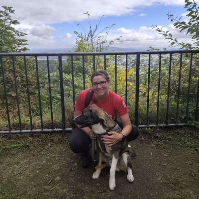 Hundetreffen-Spielfreunde gesucht