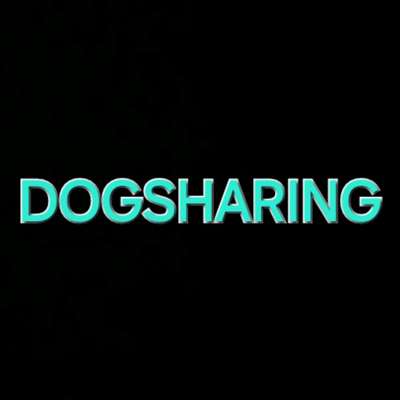 Hundetreffen-Dogsharing-Bild