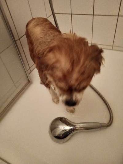 35. Handy Foto Challenge - Das nasse Element-Beitrag-Bild