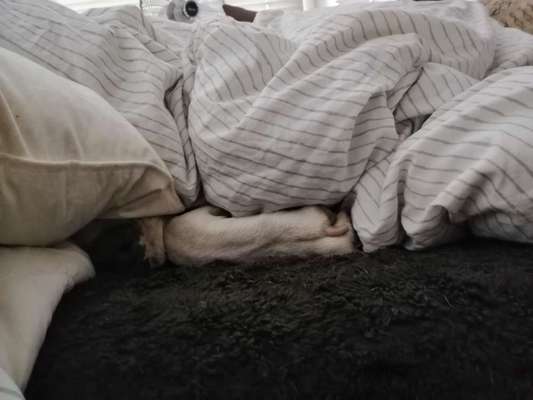 Challenge 21 - wo bin ich : )-Beitrag-Bild