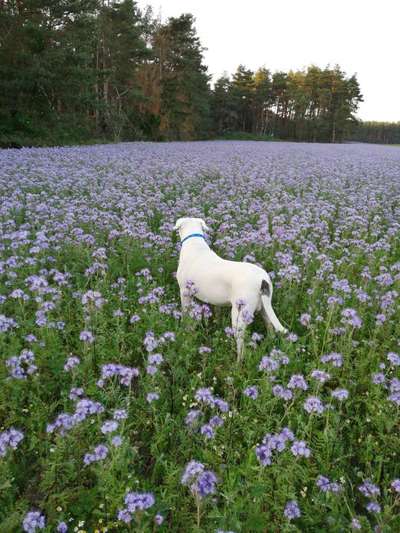 Blick fürs Detail!-Beitrag-Bild