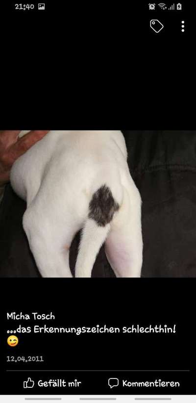 Blick fürs Detail!-Beitrag-Bild