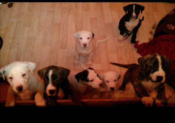 Von Ups-Würfen und der Corona Zeit-Beitrag-Bild