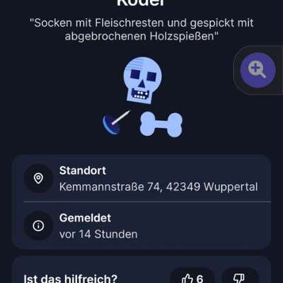 Giftköder-Fleisch in Socken mit Holzspießen-Bild